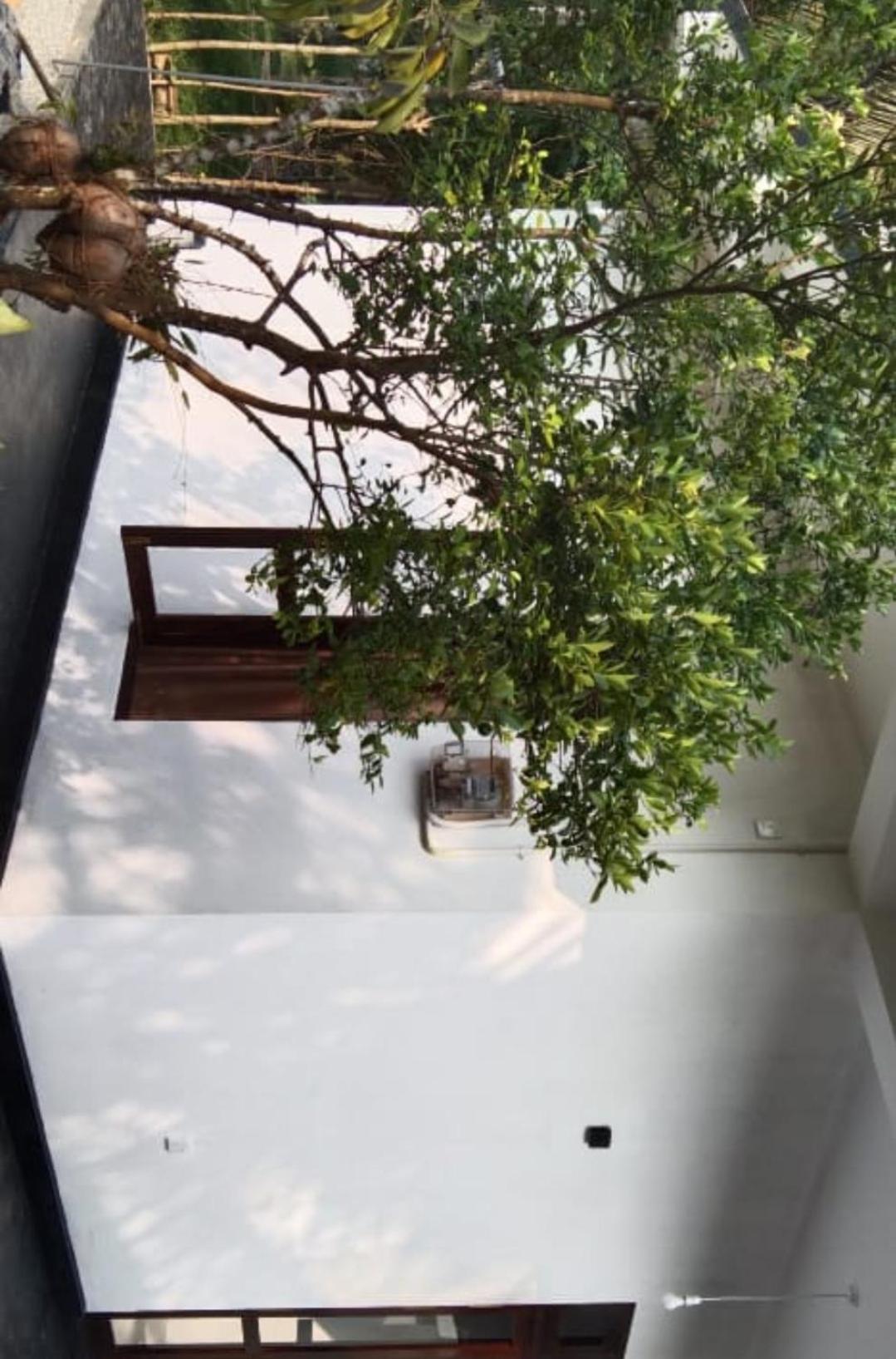 Villa Elegant - Weligama Kültér fotó